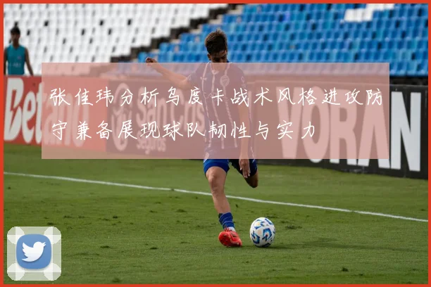 张佳玮分析乌度卡战术风格进攻防守兼备展现球队韧性与实力