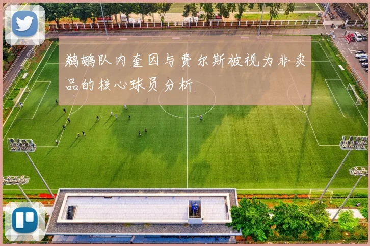 鹈鹕队内奎因与费尔斯被视为非卖品的核心球员分析