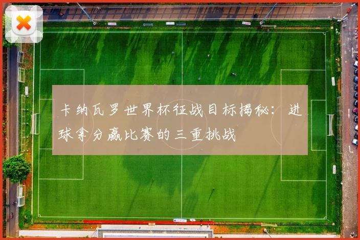 卡纳瓦罗世界杯征战目标揭秘：进球拿分赢比赛的三重挑战