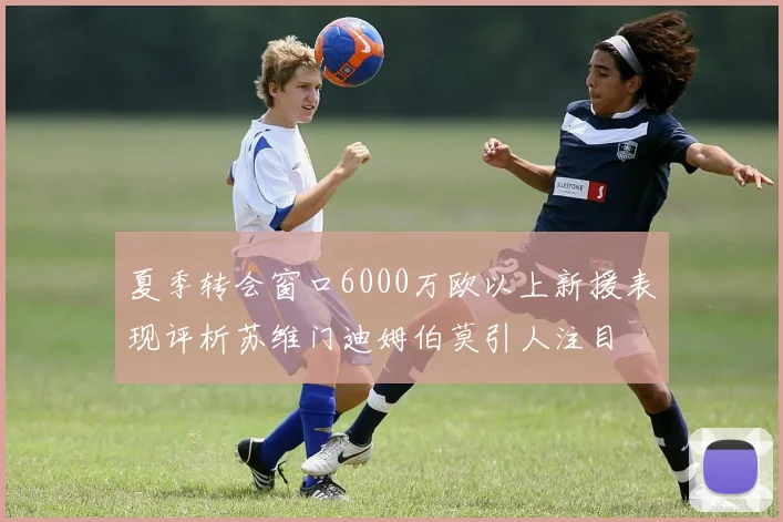 夏季转会窗口6000万欧以上新援表现评析苏维门迪姆伯莫引人注目